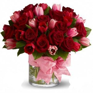 Roses Tulips