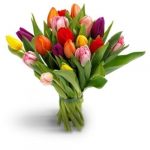 bouquet 15 tulipes melanges 1283 2 e1542185237867