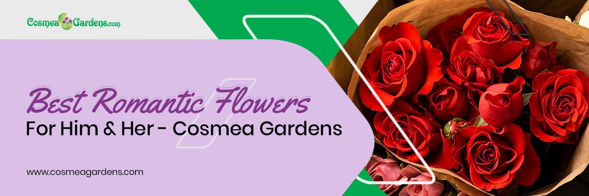 Romantic Flowers for Her & Her