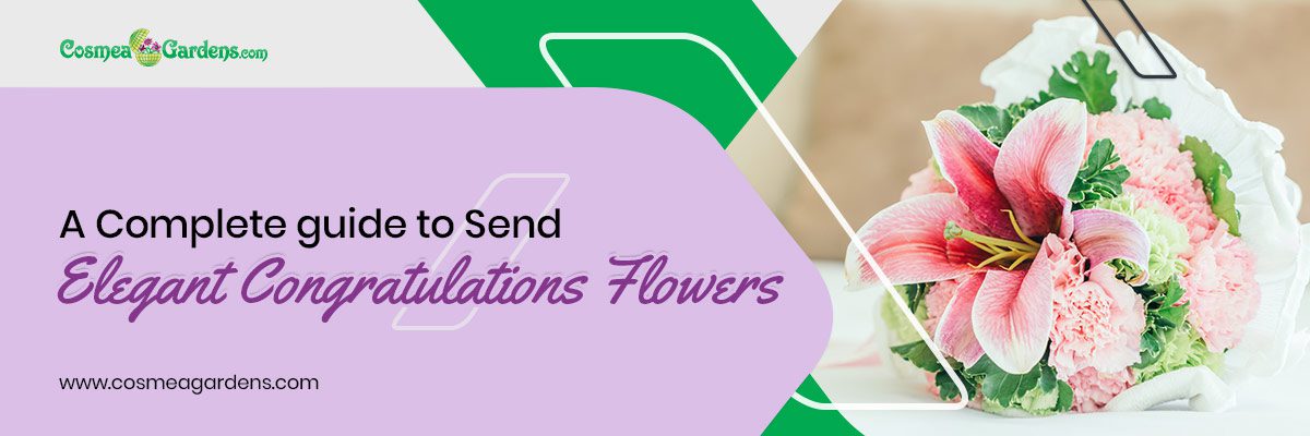Congratulation Flowers