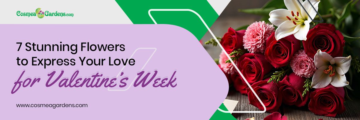 valentine’s week flower