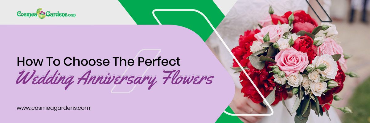 Wedding-Anniversary-Flowers